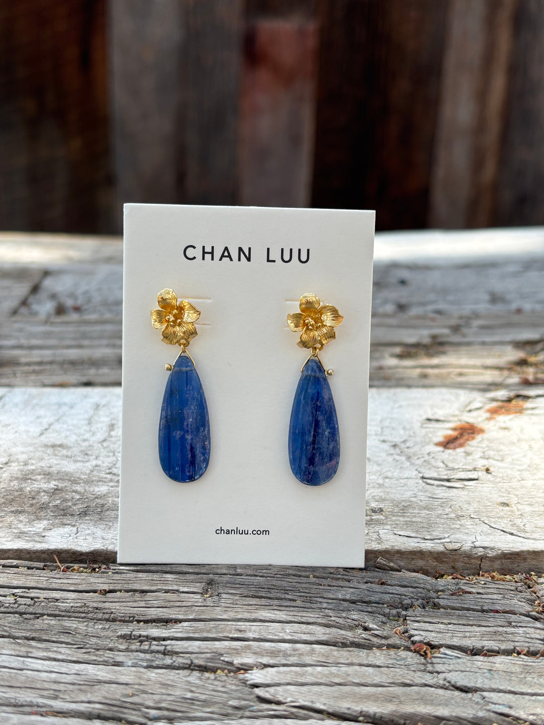 Chan Luu Kyanite Earrings EG-6038