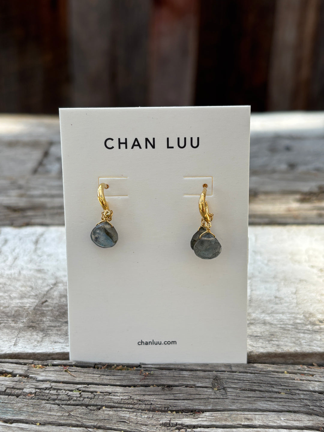 Chan Luu Labradorite Earrings EG-6040