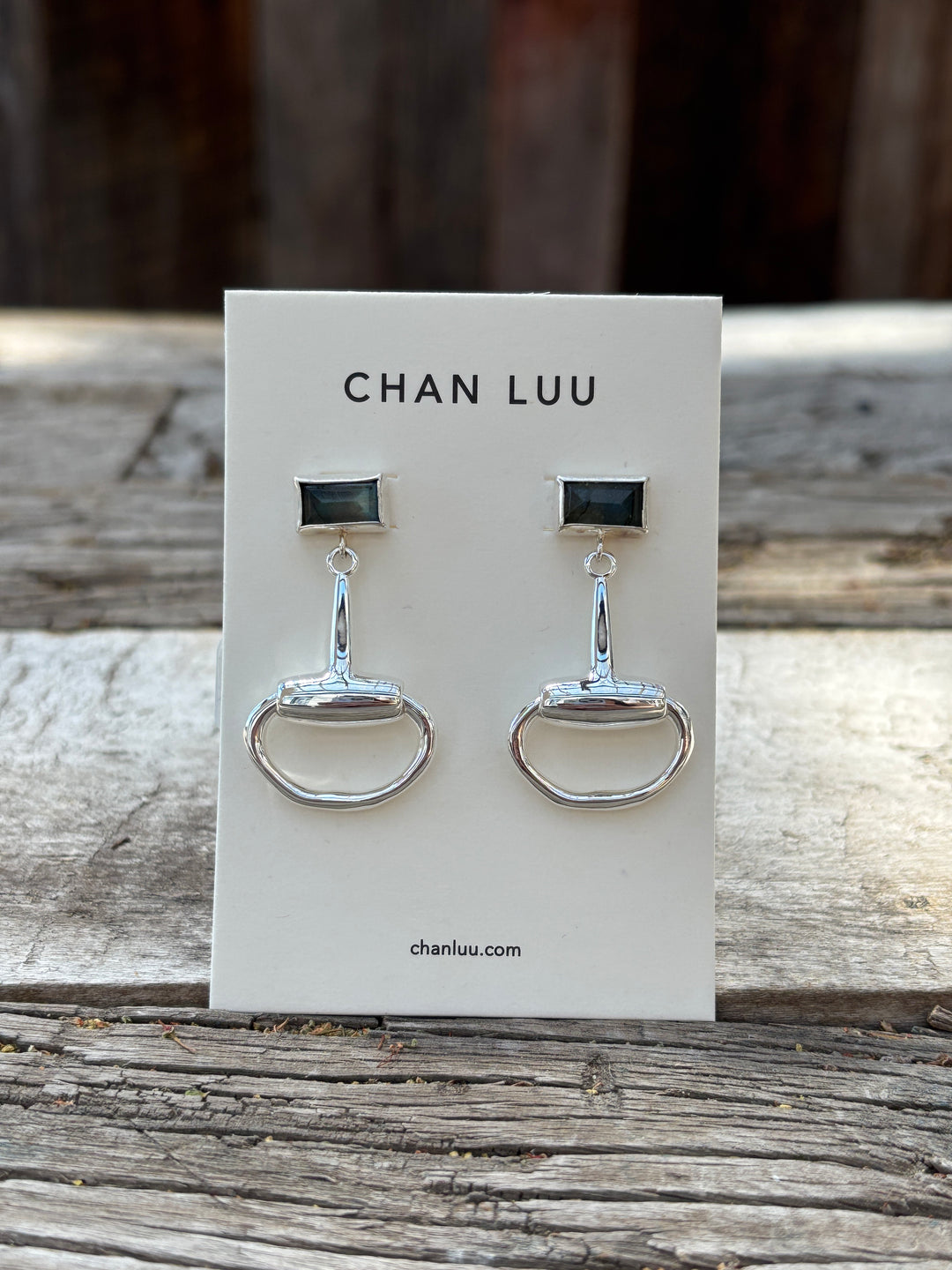 Chan Luu Labradorite Earrings ESZ-6019