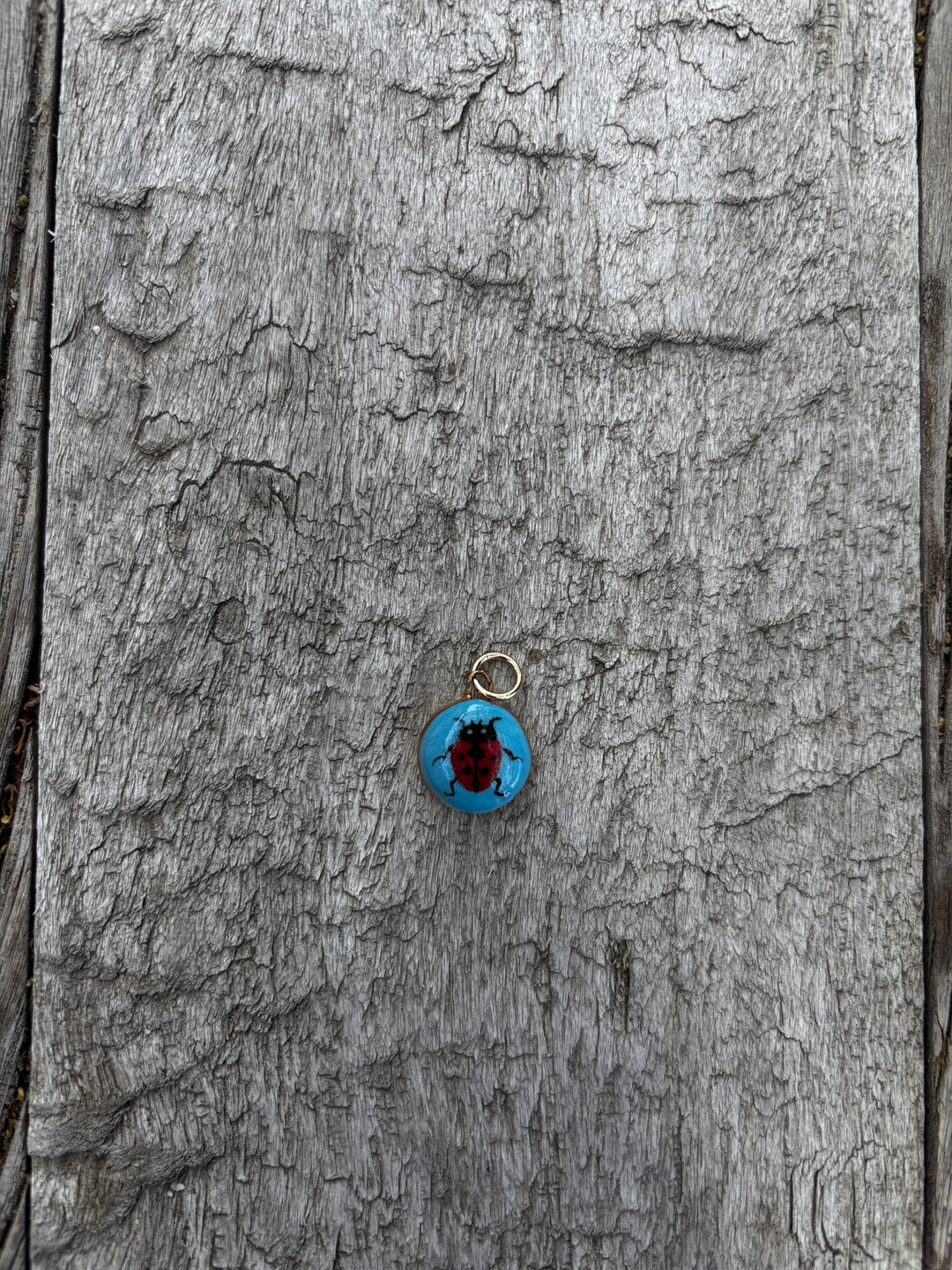 Shá Parlé Ladybug Charm