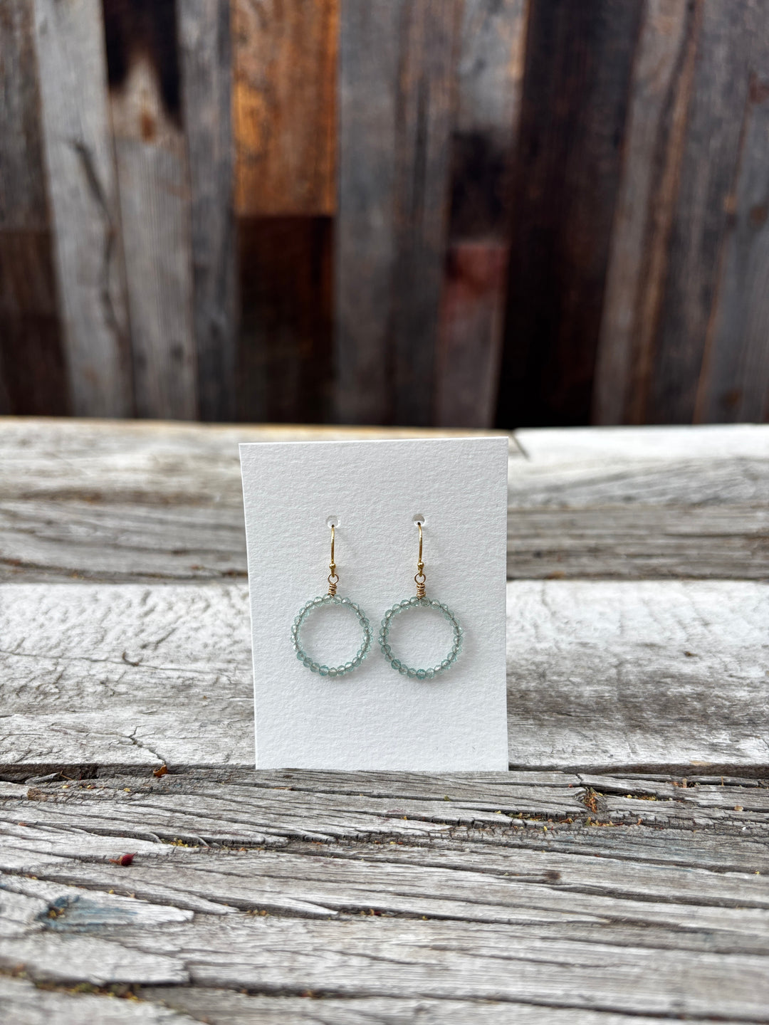 Elizabeth Nicole Aquamarine Circle Party GF Earrings E147C