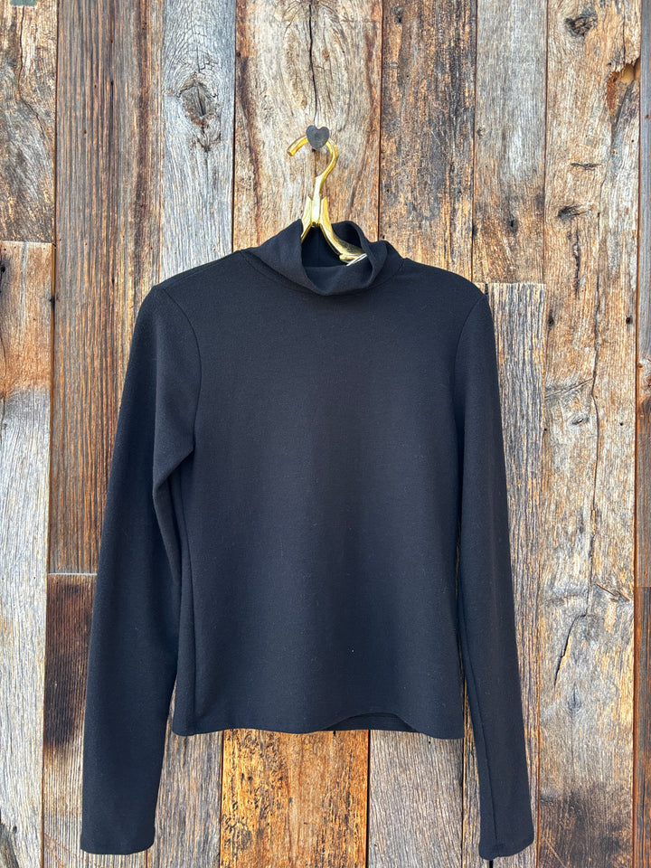 Perfect White Tee Dana Brushed Sweater Turtleneck