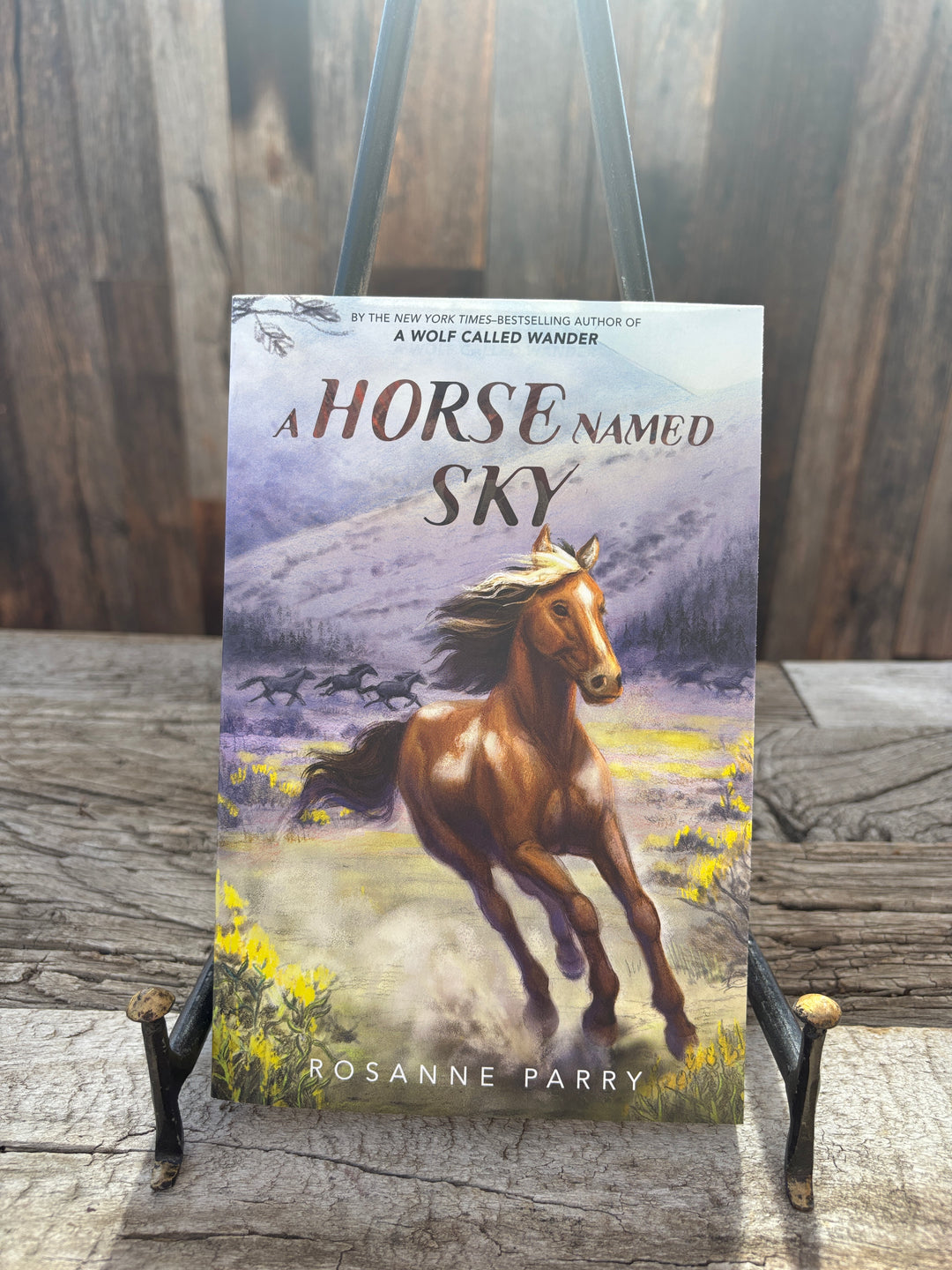 HarperCollins A Horse Named Sky, A: Rosanne Parry