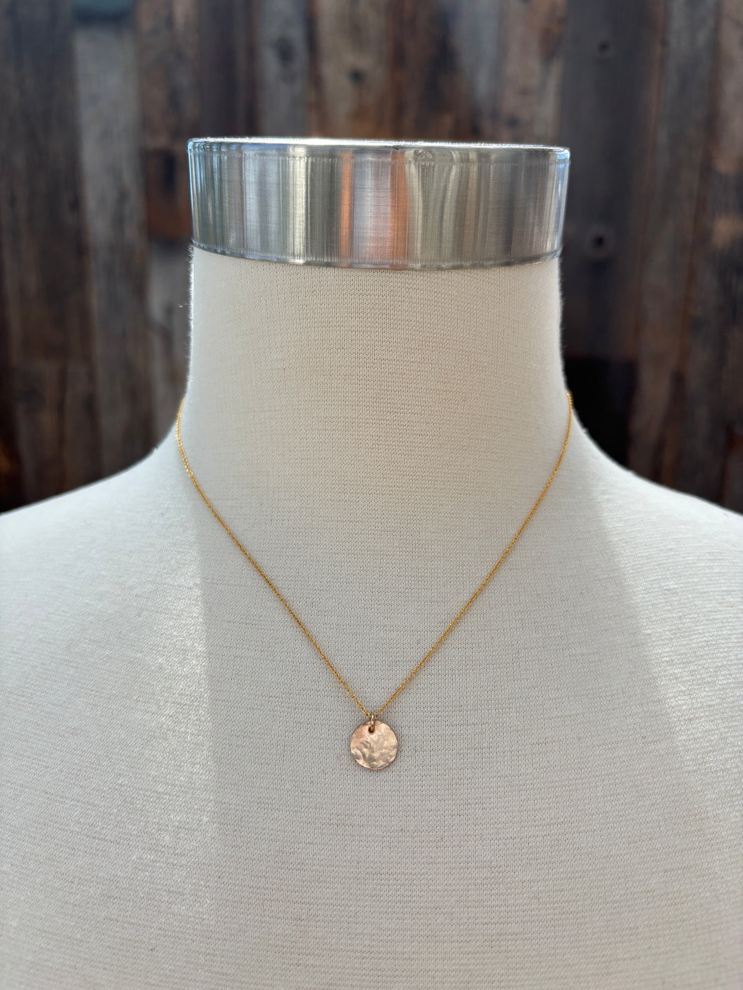 Elizabeth Nicole GF Coin & Chain Small N174