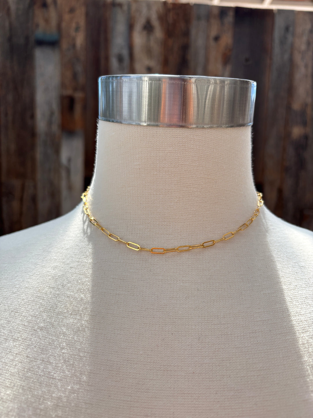 Sabina Paperclip Necklace GF 15'
