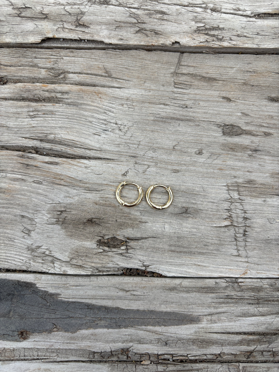 Thatch Monet Small Hoop Earrings 14k GP