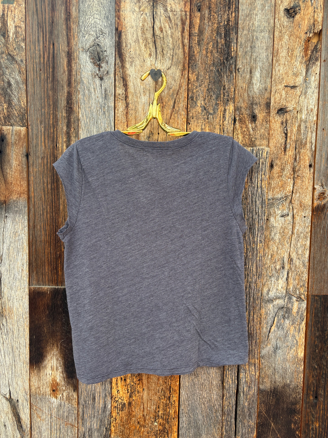 Project Social T Canyon Solid V Neck Tee - Charcoal