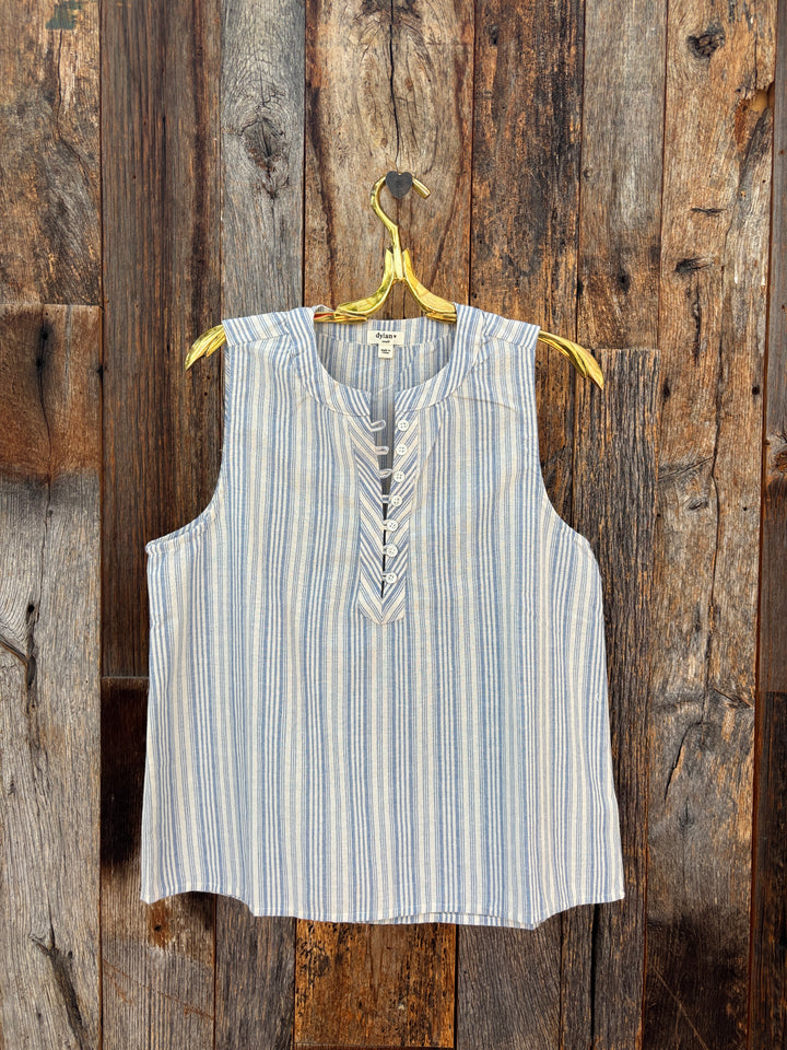 Dylan Sleeveless A Line Top- Denim