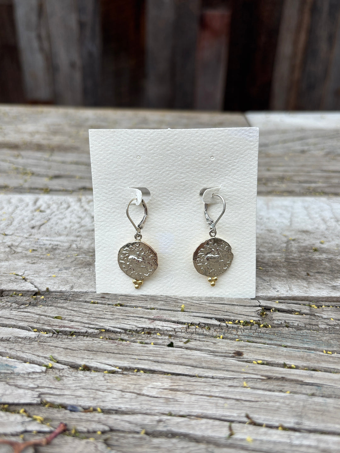 Ashton SS Horseman Coins w/ 18K Gold Ball Earrings