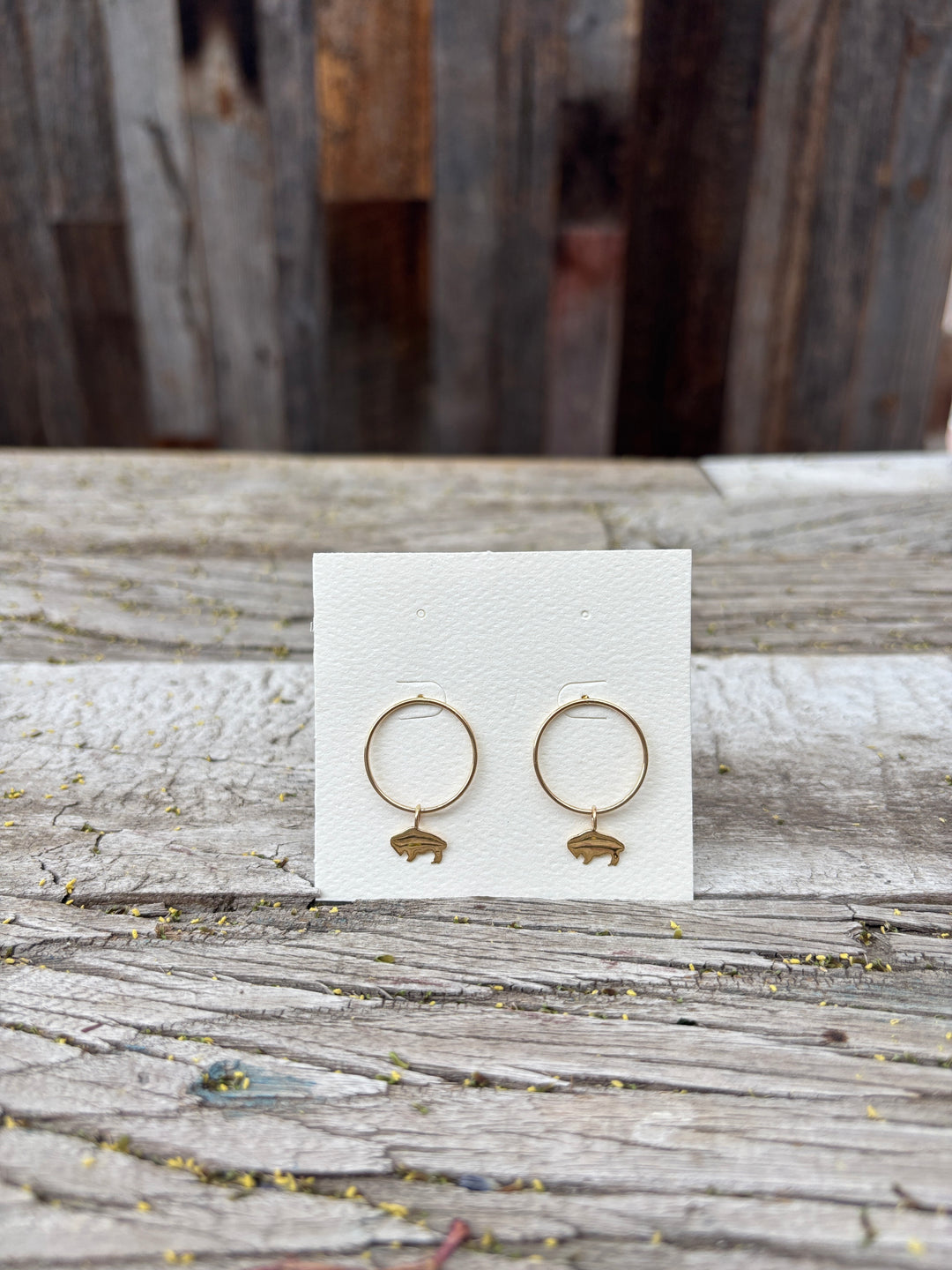 Ashton 14k Gold Circle Earrings W/ Buffalo