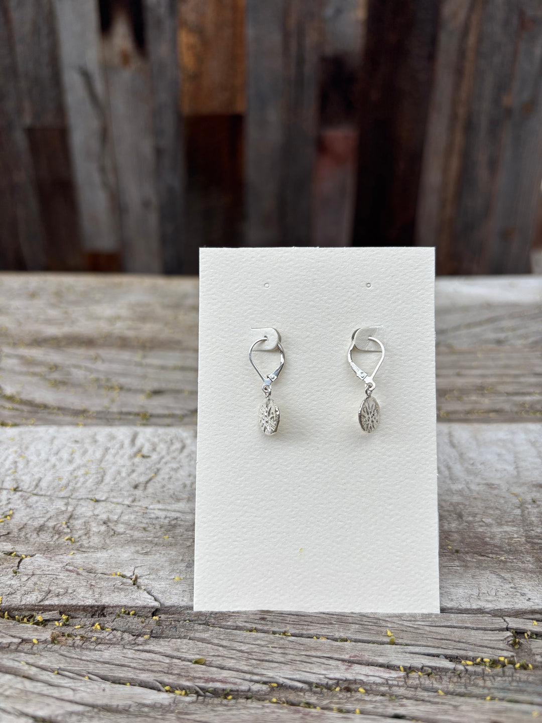 Ashton Gambrion Star Coin Earrings