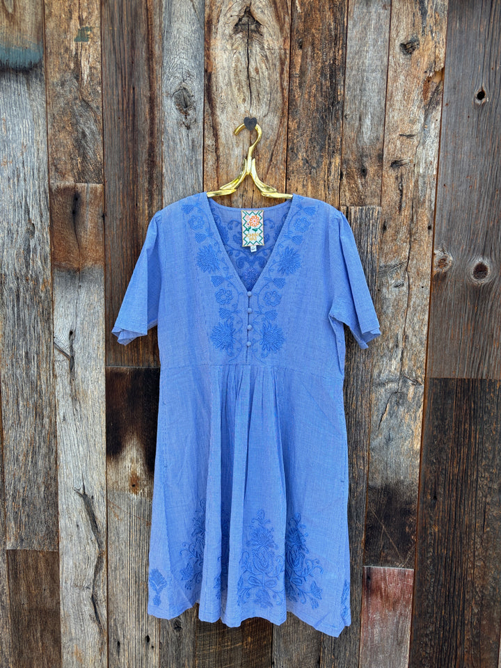 Johnny Was Seabring Pleat Front Dress Emilia