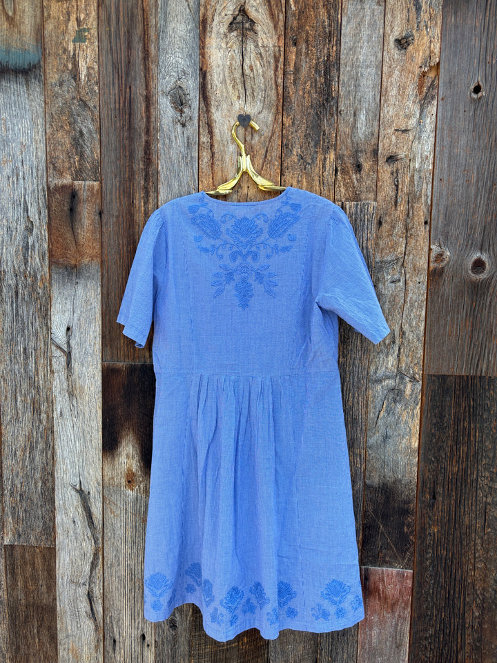 Johnny Was Seabring Pleat Front Dress Emilia