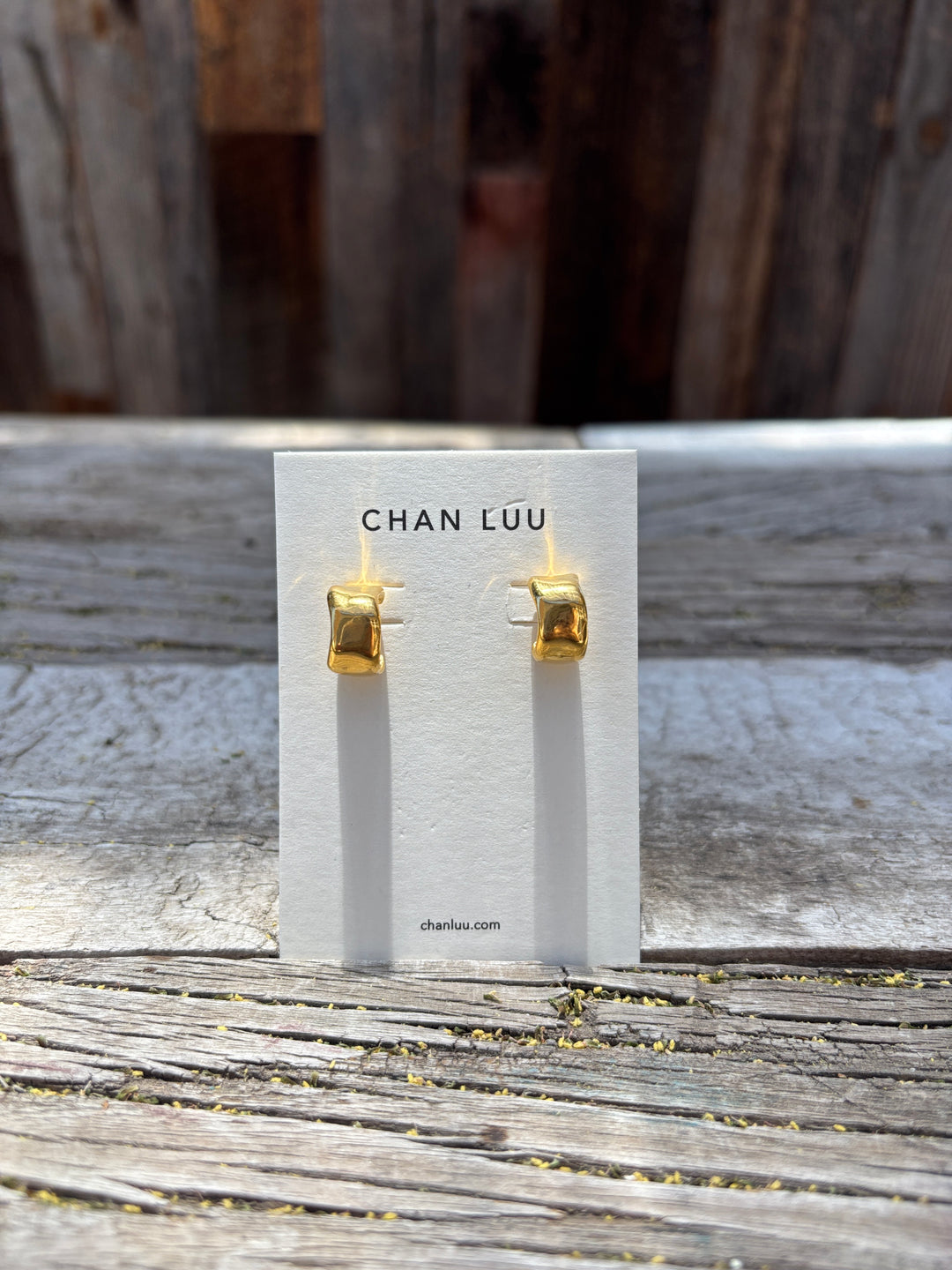 Chan Luu Yellow Gold Earrings EG-6030