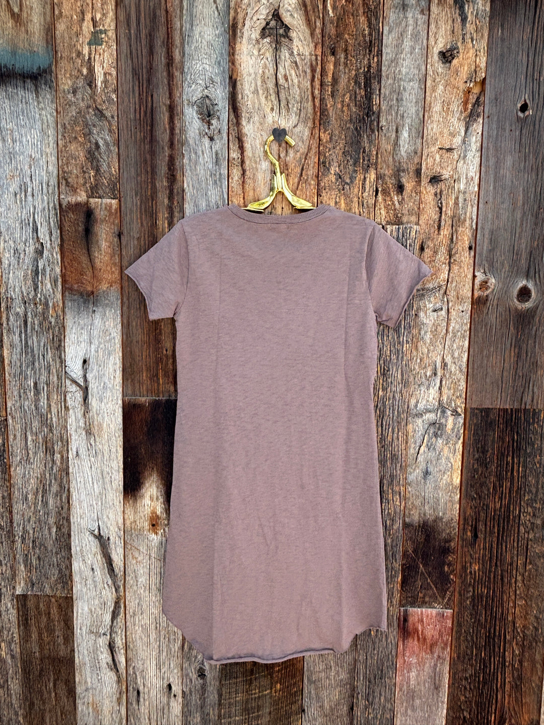 Dylan Tee Shirt Dress Soft Brown