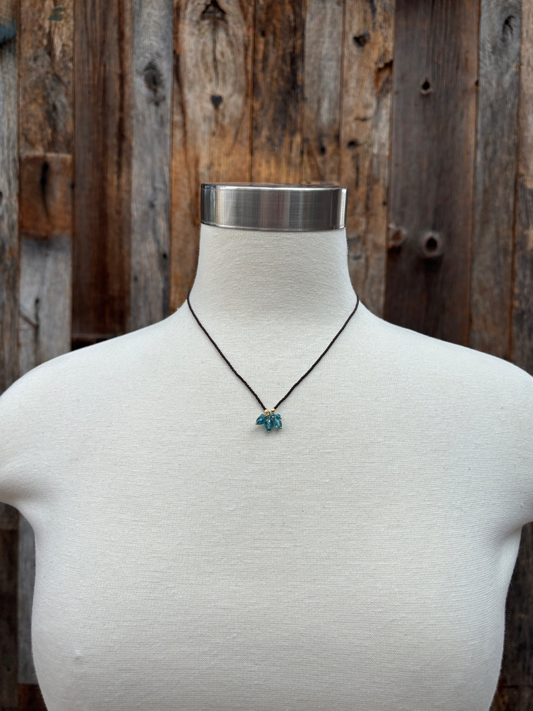 Debbie Fisher IVY52/brown seed/kyanite/apatite/GF