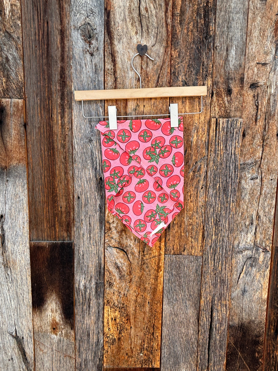 ...and for Good Scarf- Tomato Pink Square