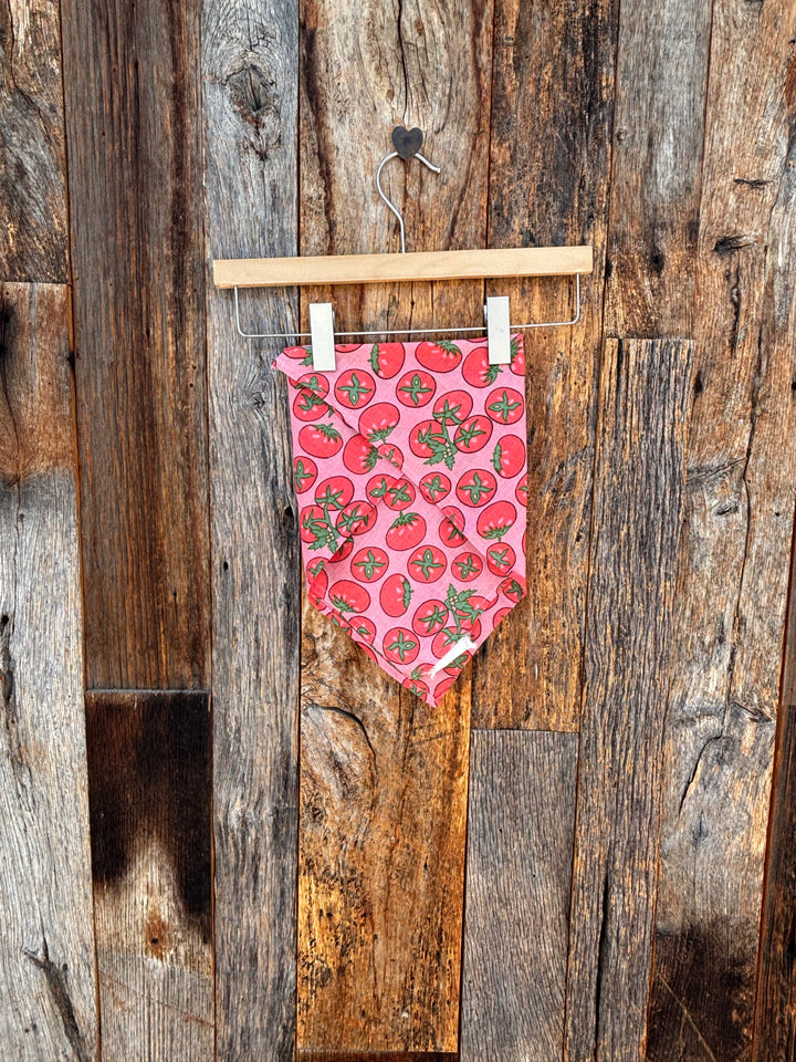 ...and for Good Scarf- Tomato Pink Square