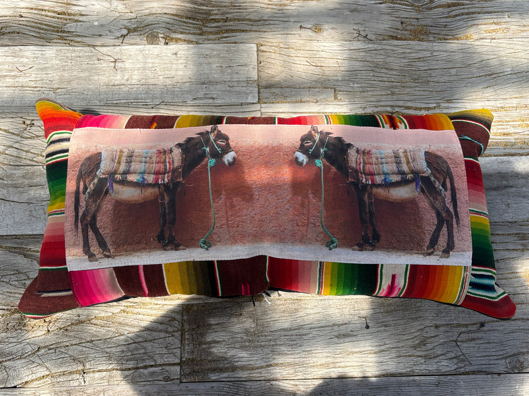 Totem Salvaged Pink Wall Donkey Pillow