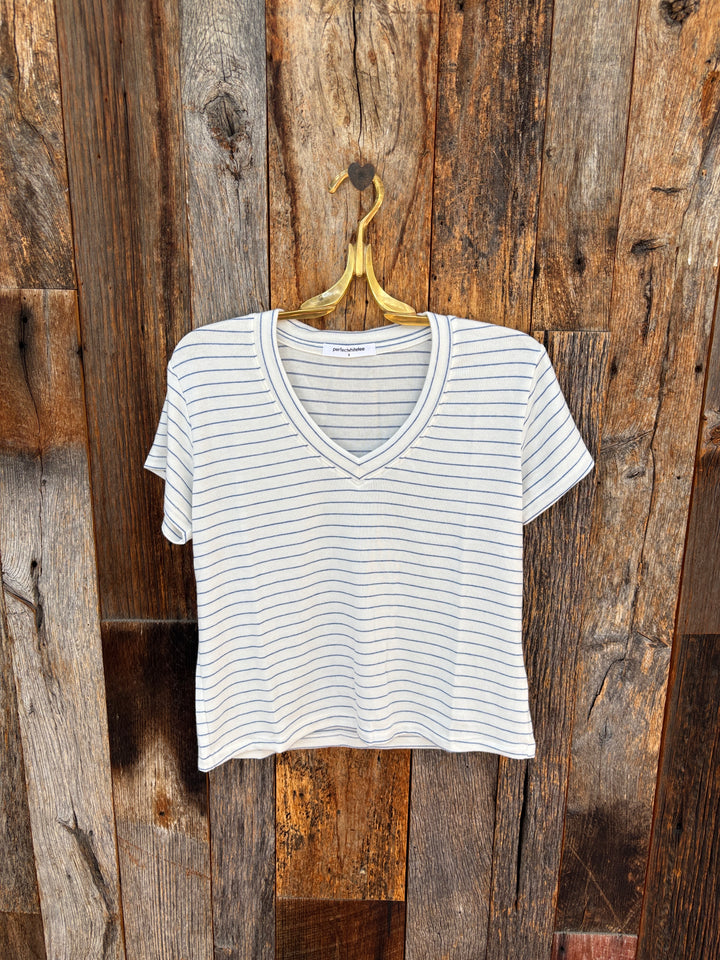 Perfect White Tee - Elliot Brushed Sweater Stripe VNeck - Pacific Stripe