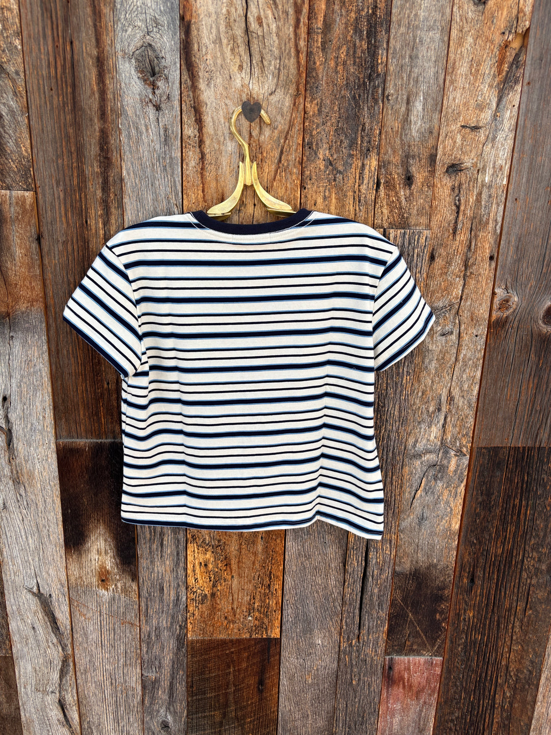 Perfect White Tee - Dawn Stripe Supima Cotton Tee - Navy