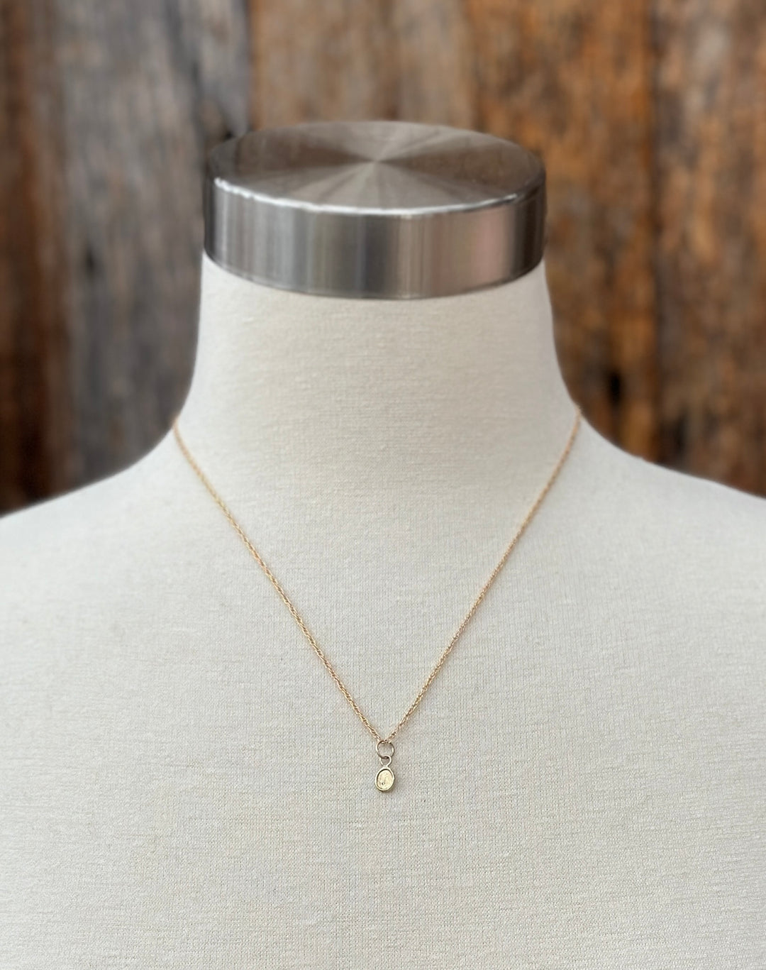 Robin M 14K Oval 1mm Diamond Charm GF Chain 18"