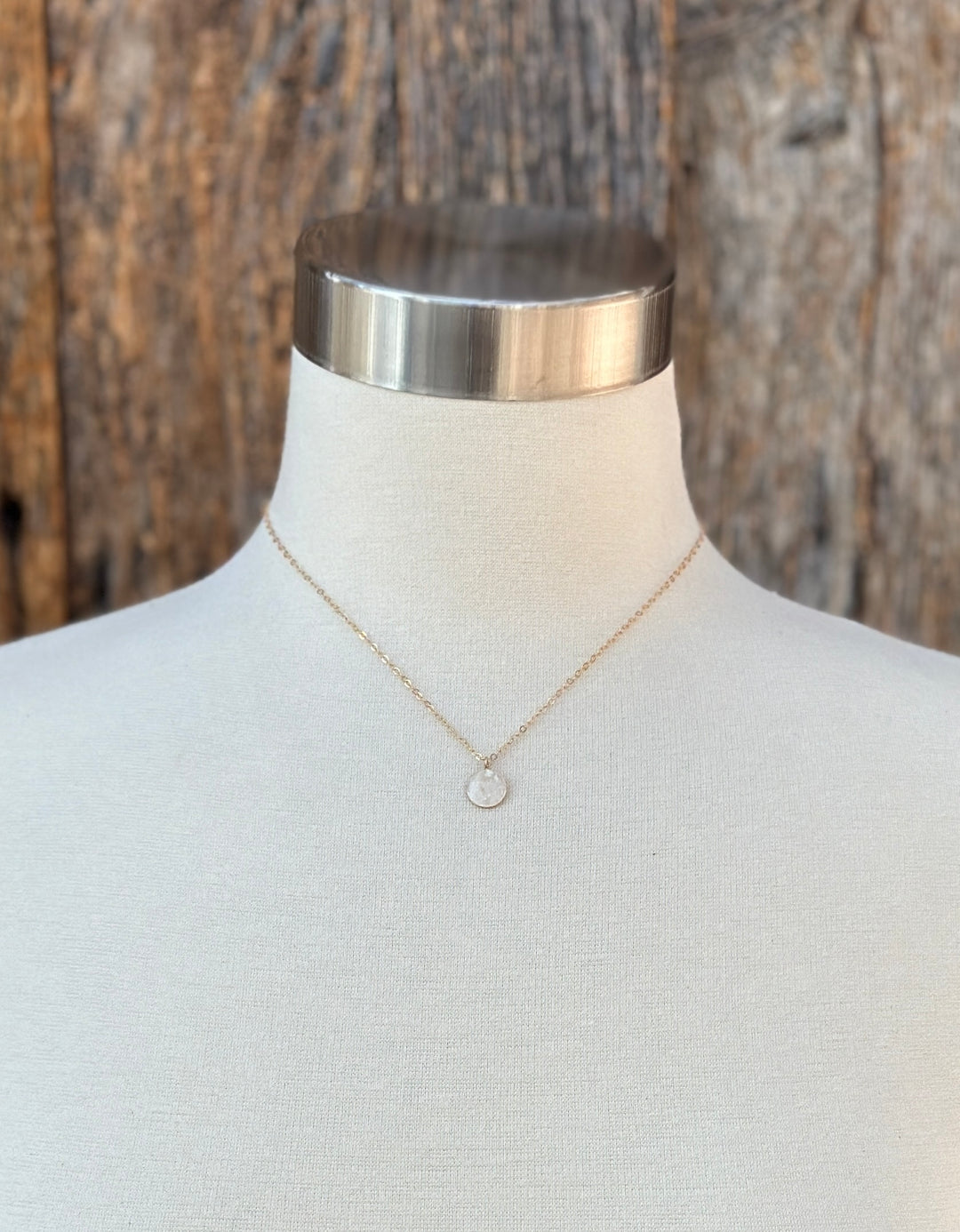 Elizabeth Nicole Medium GF Coin/Chain N69