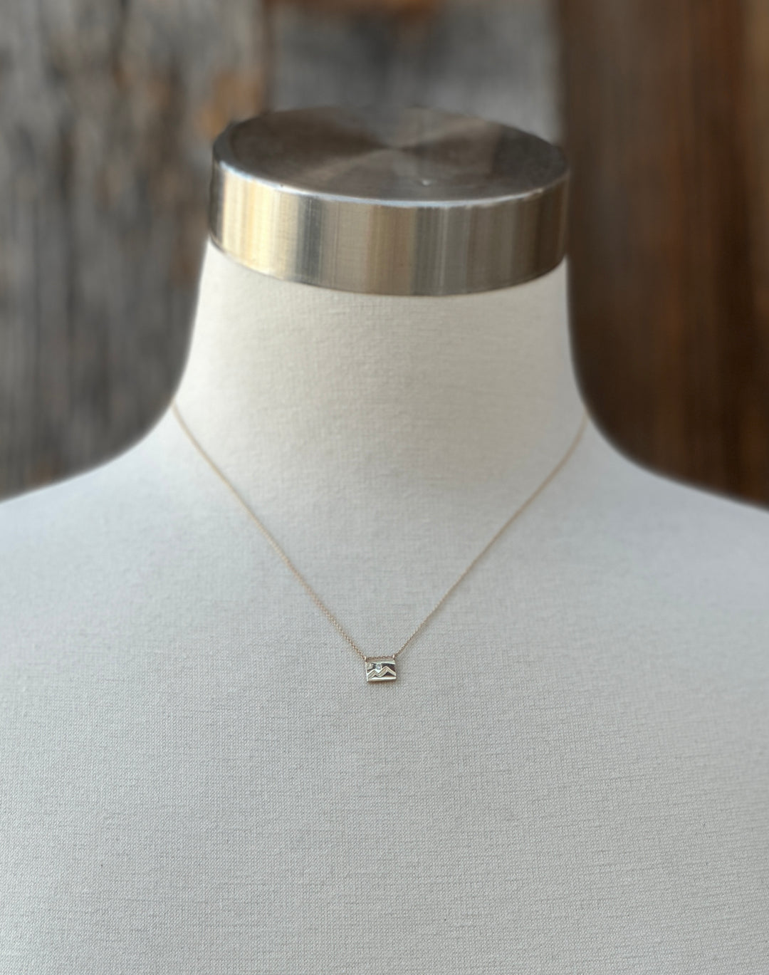 Aili Mountain 14K/Wt Diam 16" Postcard Necklace