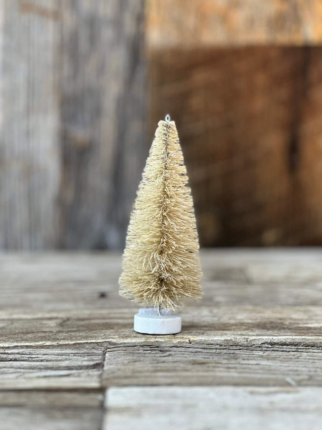 Cody Foster Mini Tree