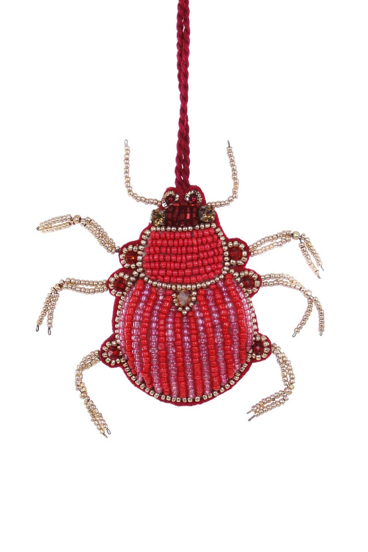 Cody Foster Tinsel Striped Beetle MO-5647
