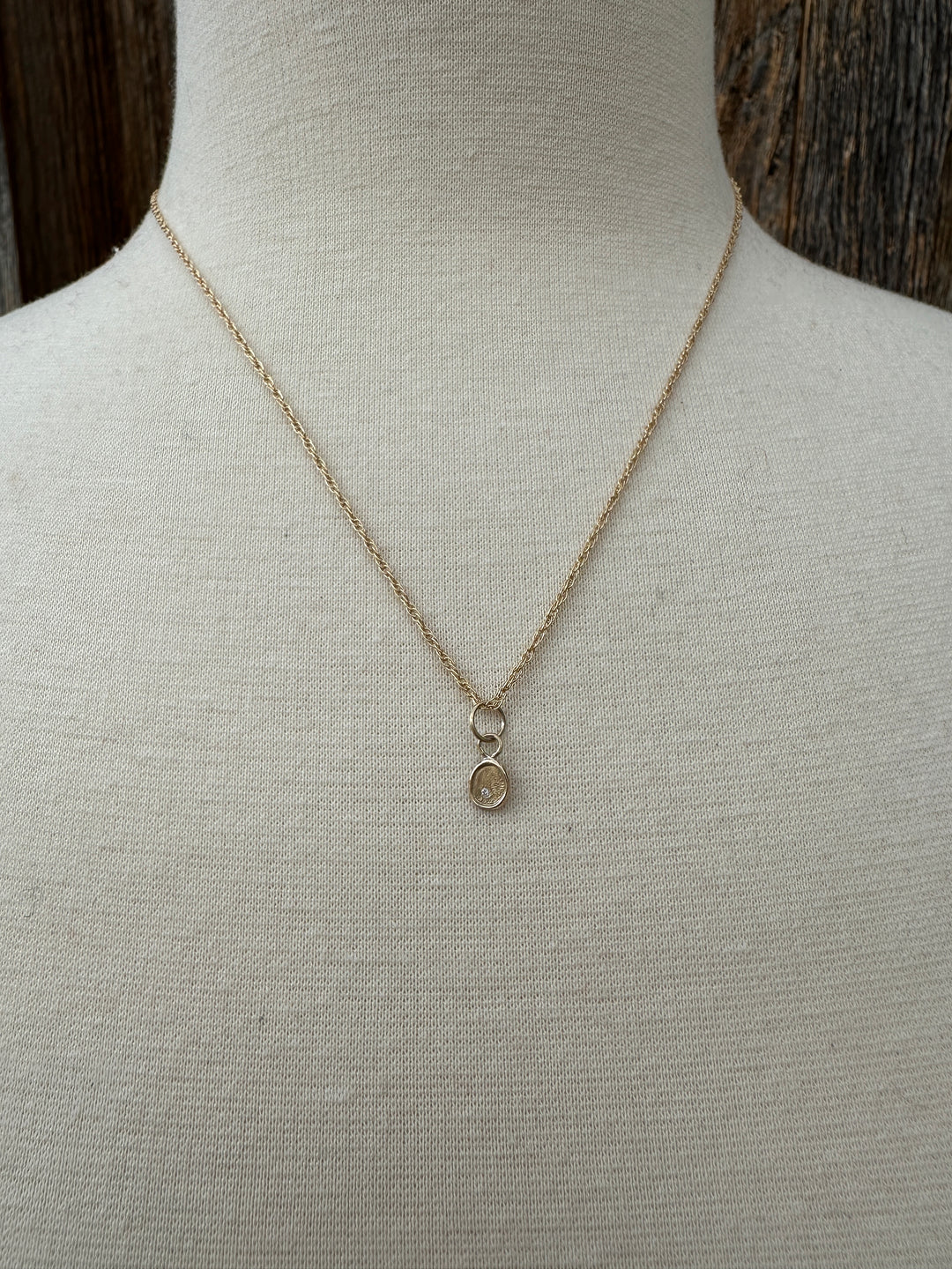 Robin M 14K Oval 1mm Diamond Charm GF Chain 18"