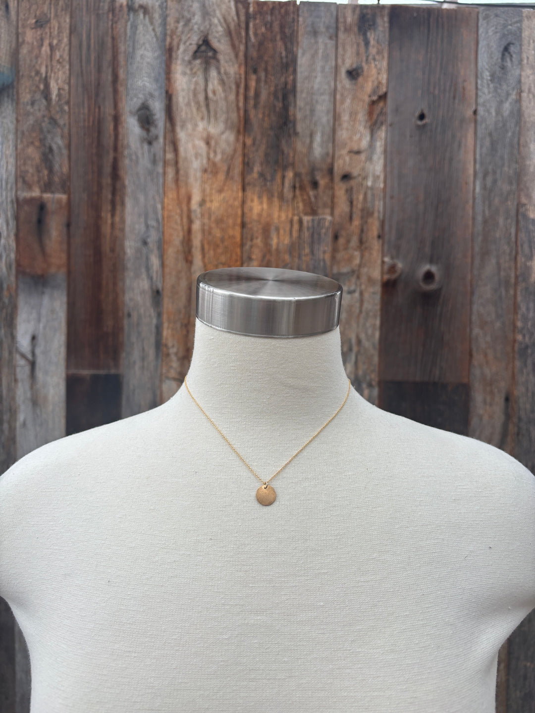 Elizabeth Nicole Medium GF Coin/Chain N69