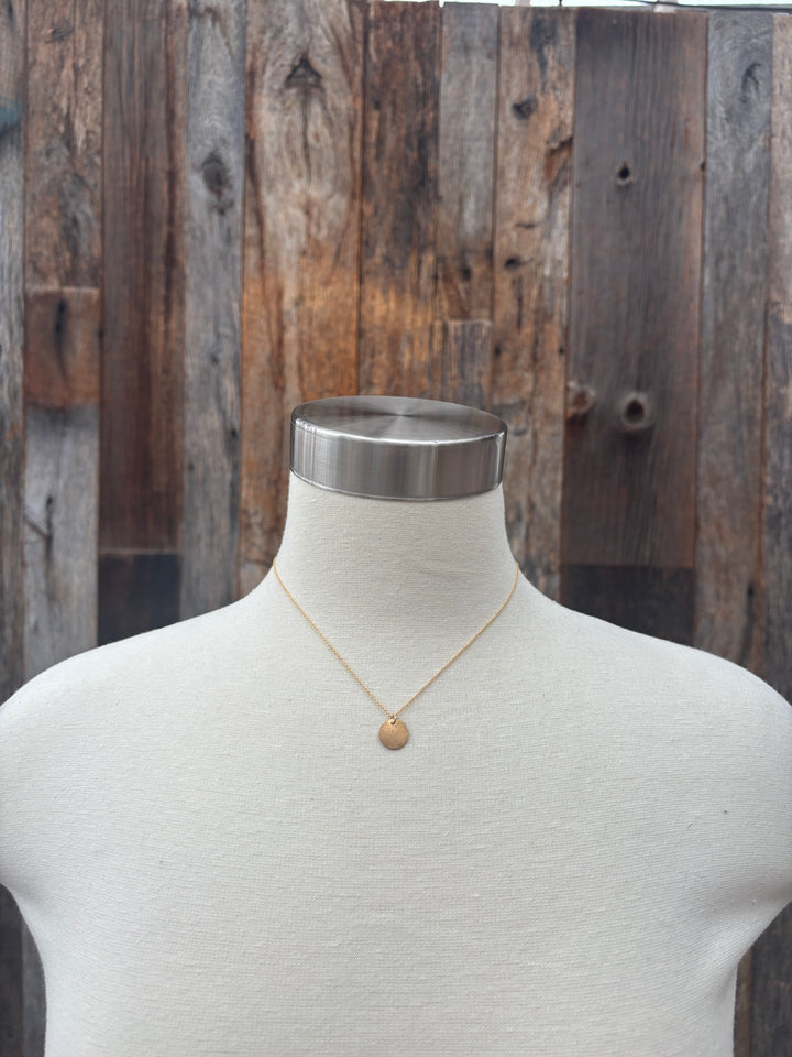 Elizabeth Nicole Medium GF Coin/Chain N69