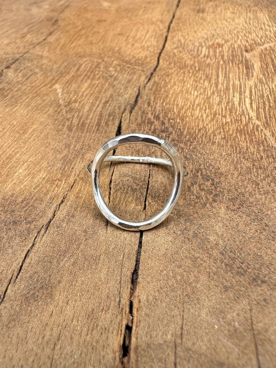 Elizabeth Nicole Full Circle Ring SS R06