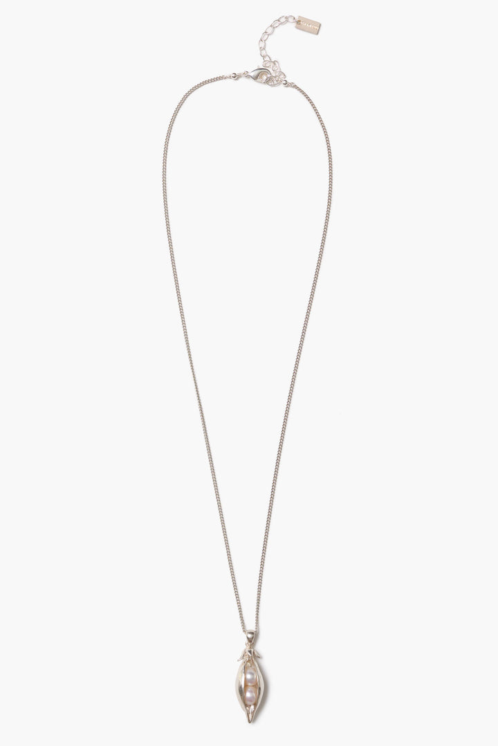 Chan Luu NSZ-15524