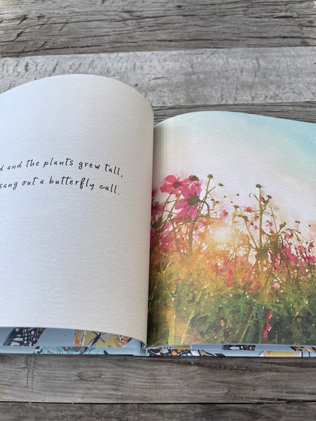 Milkbarn The Butterfly Ball Book